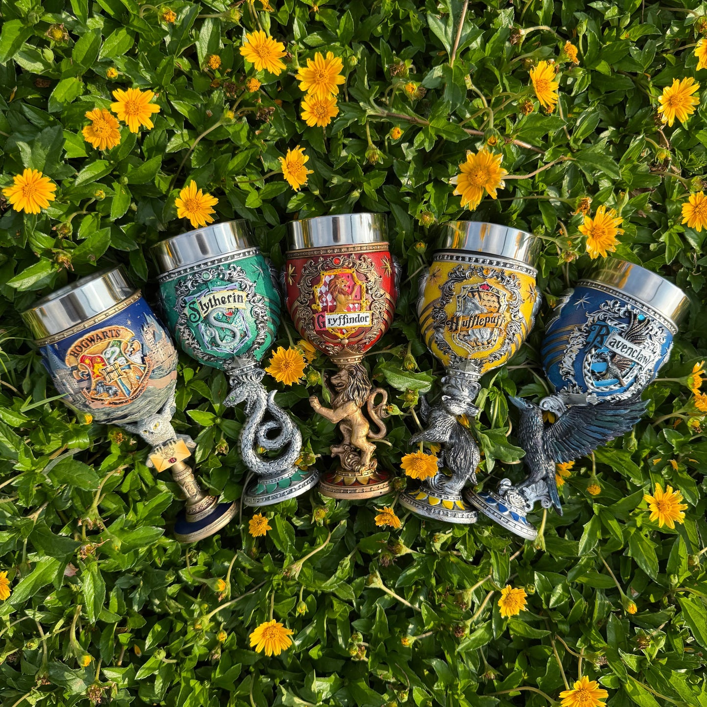 Verres Harry Potter