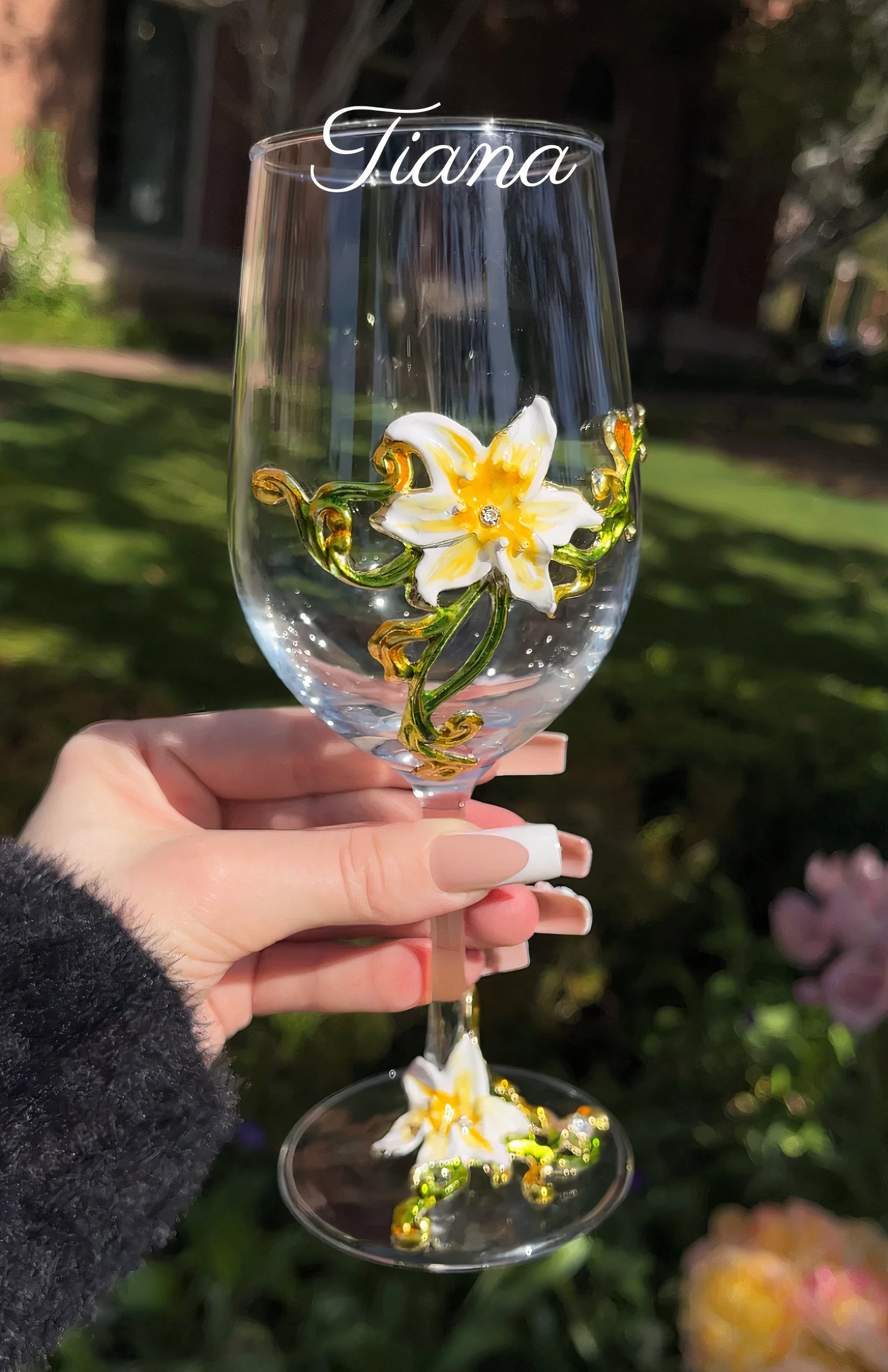 Verres à Cocktail